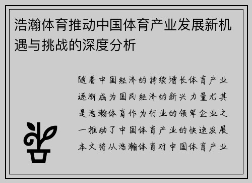 浩瀚体育推动中国体育产业发展新机遇与挑战的深度分析
